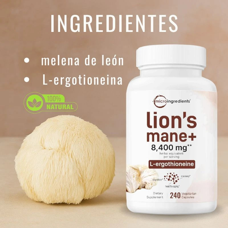 MELENA DE LEÓN CON L-ERGOTIONEÍNA-SALUD CEREBRAL E INMUNOLOGICA