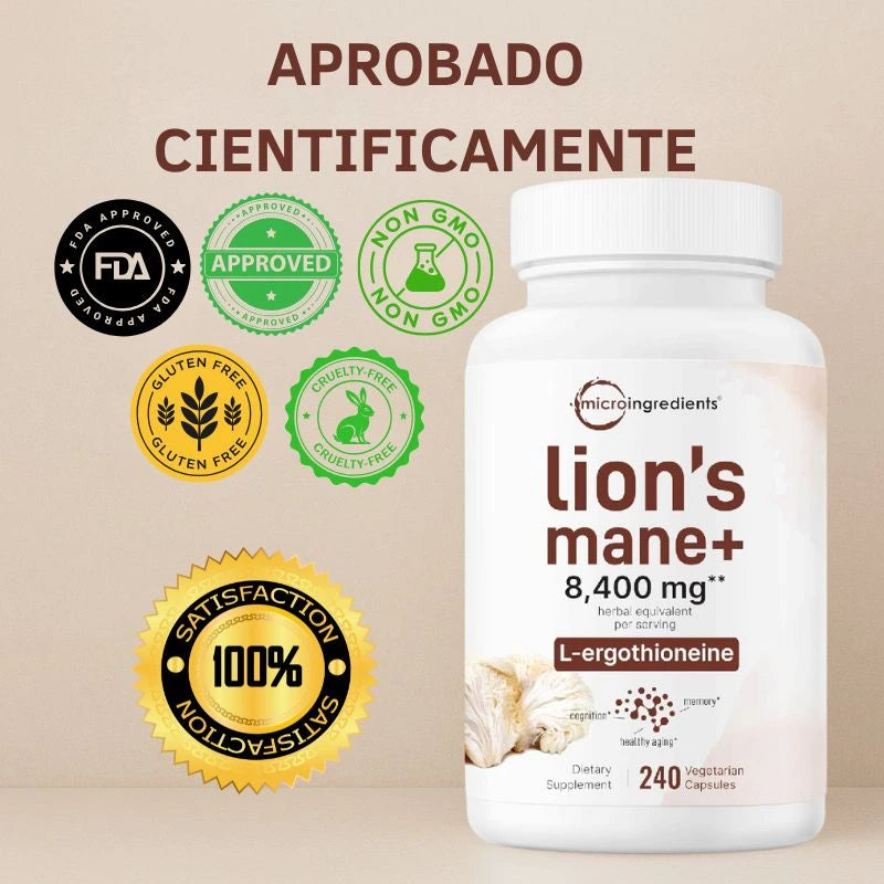 MELENA DE LEÓN CON L-ERGOTIONEÍNA-SALUD CEREBRAL E INMUNOLOGICA