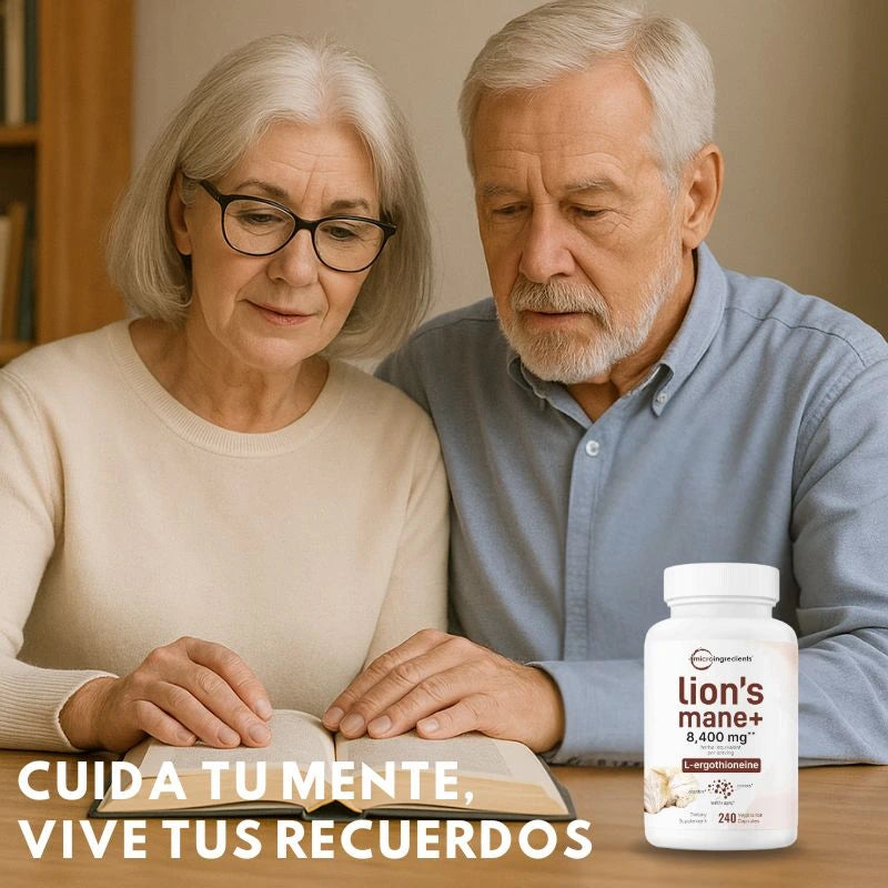 MELENA DE LEÓN CON L-ERGOTIONEÍNA-SALUD CEREBRAL E INMUNOLOGICA
